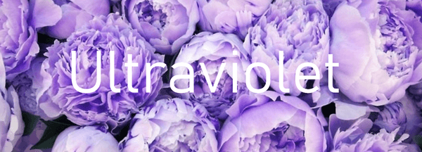 Ultraviolet: el color para las bodas de este año